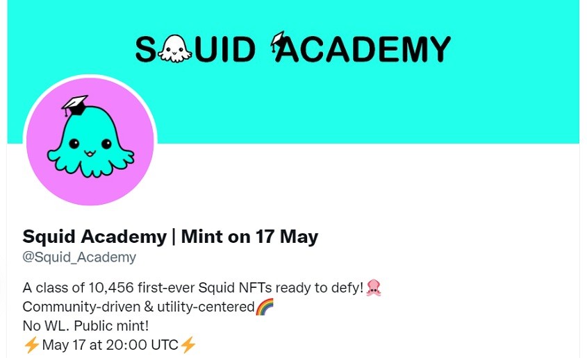 Squid Academy One Of The Best Solana NFT projects To Watch In 2022