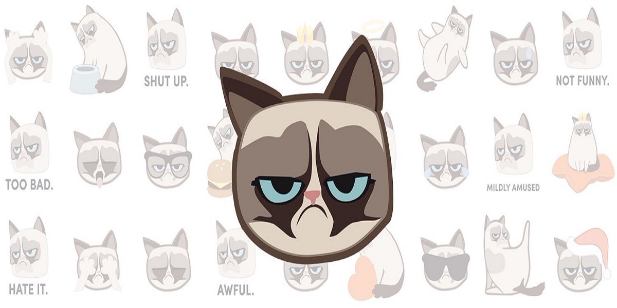 Grumpy Cat Nft Meme