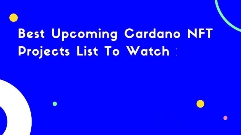 Best Upcoming Cardano NFT Projects To Watch August 2024 !