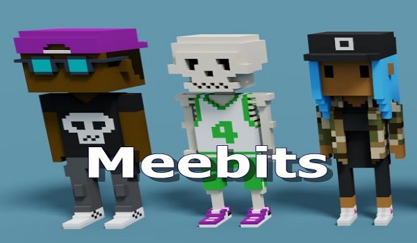 Meebits NFTs Review